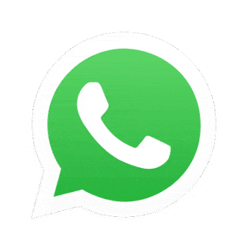 11xplay WhatsApp number